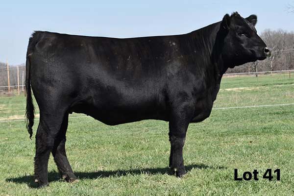 Our Place Burgess 534