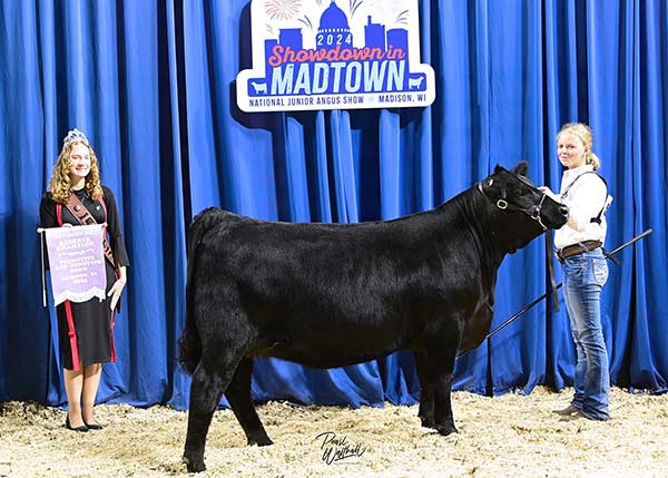 Reserve Champion Bred & Owned Heifer - Division II
NJAS Phenotype and Genotype Female Show